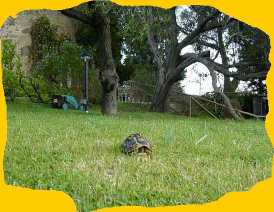 A passeggio in giardino